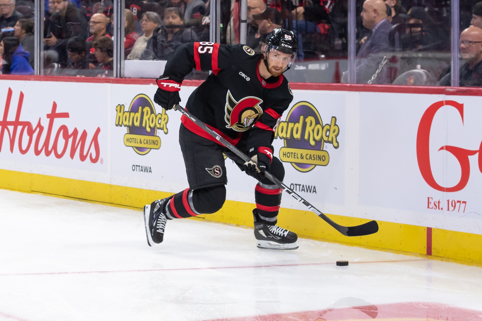 NHL Insights Jake Sanderson Ottawa Senators NHL Insights