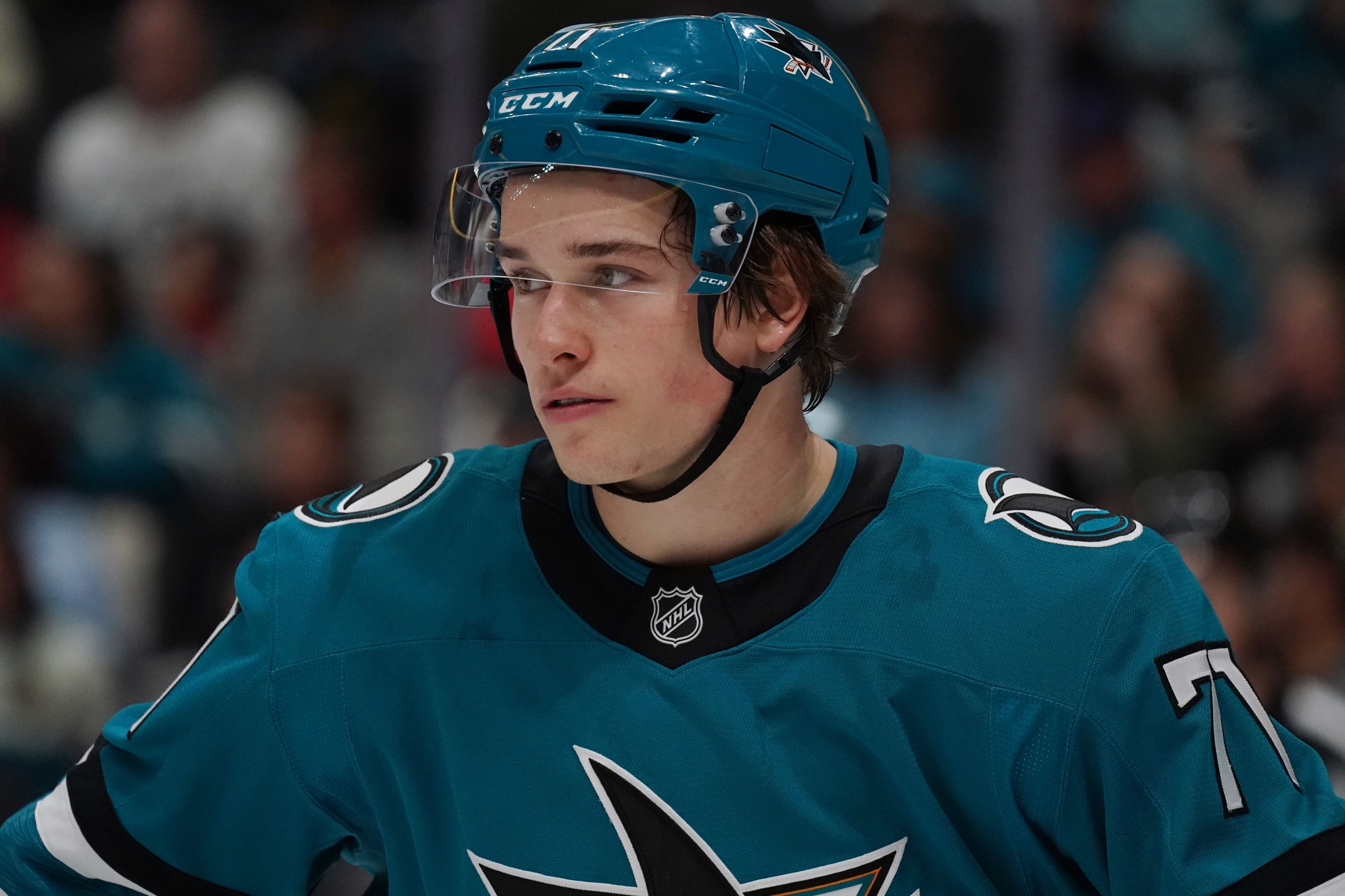 NHL Picks Macklin Celebrini San Jose Sharks NHL Picks