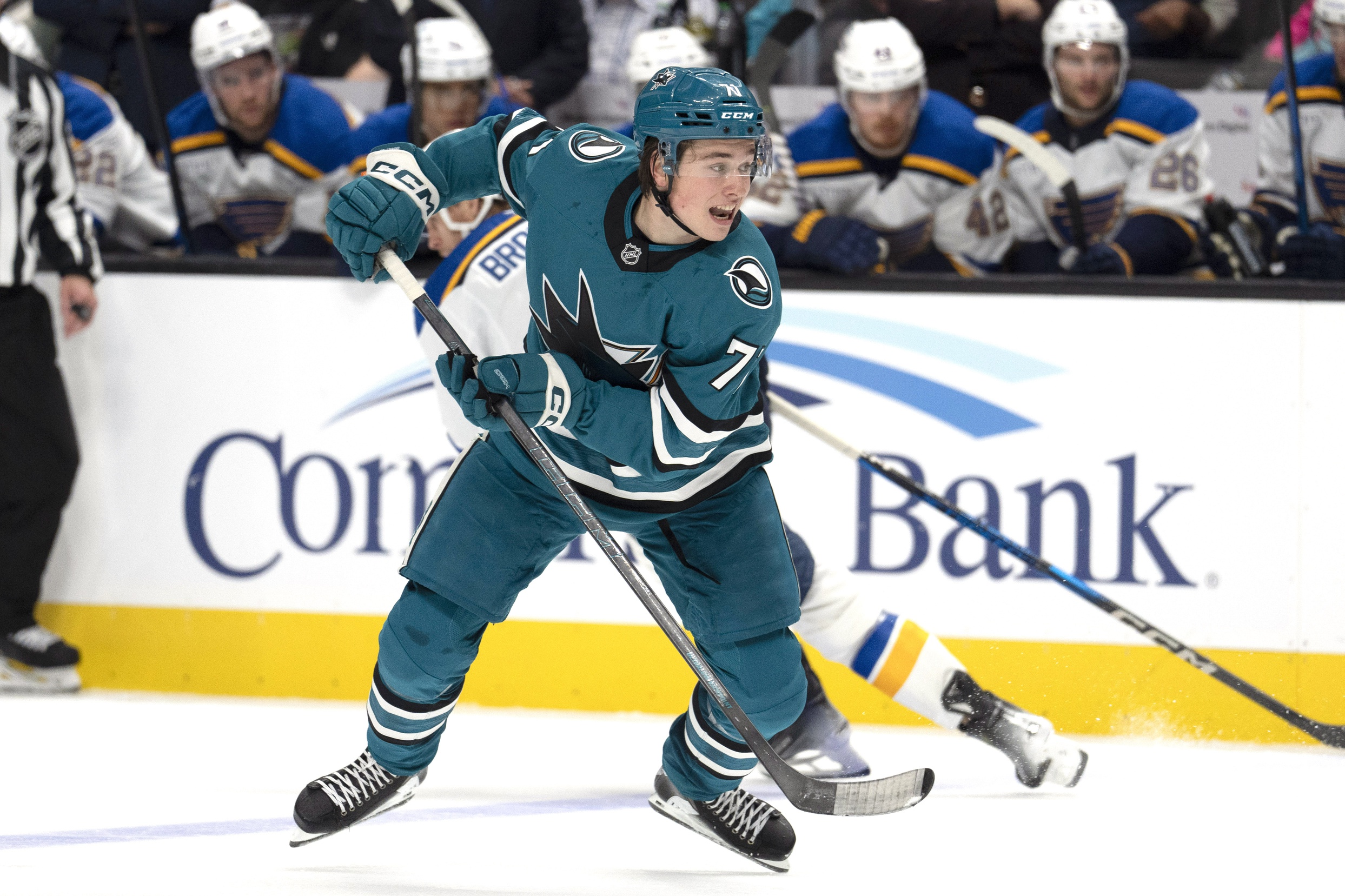 NHL Picks Macklin Celebrini San Jose Sharks