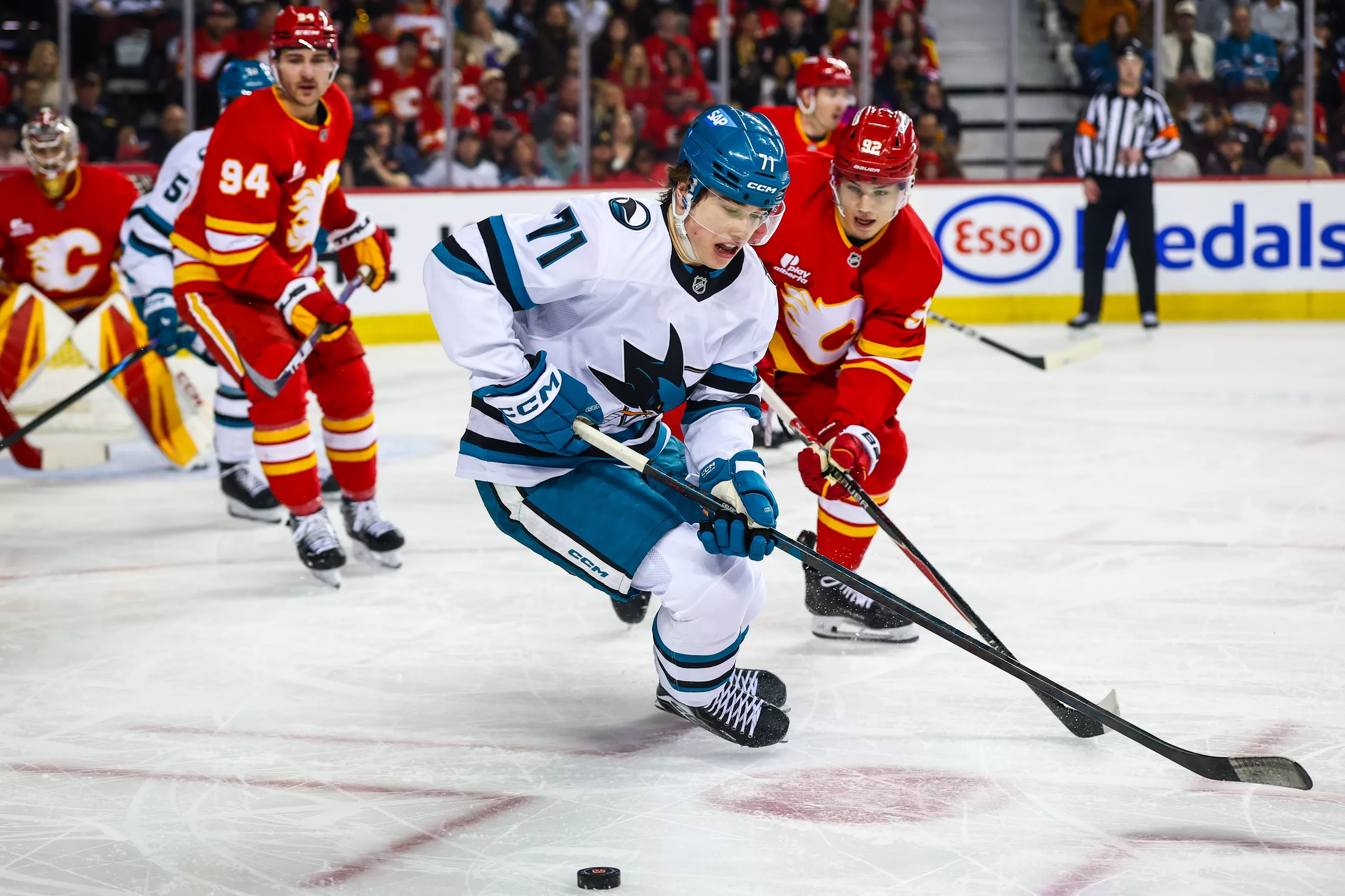 NHL Picks Macklin Celebrini San Jose Sharks Predictions Best Bet Odds