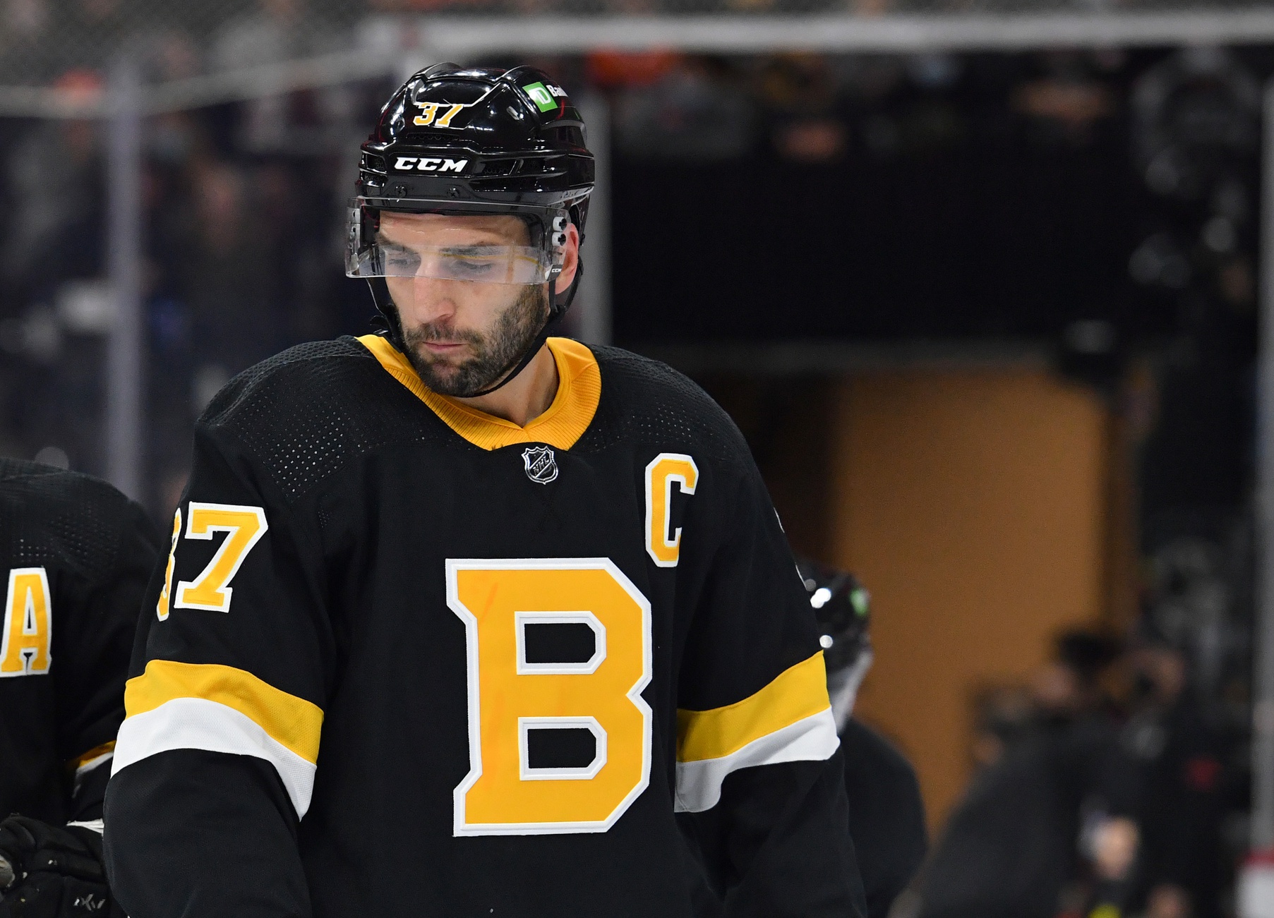 nhl picks Patrice Bergeron Boston Bruins predictions best bet odds