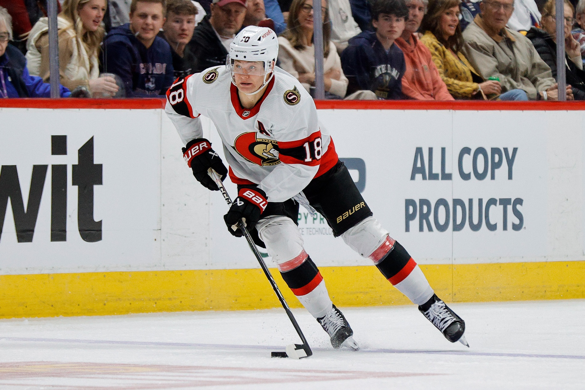 NHL Picks Tim Stutzle Ottawa Senators Predictions Best Bets Odds