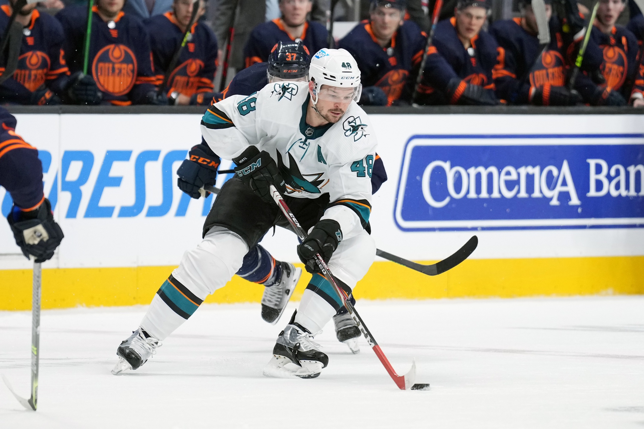 nhl picks Tomas Hertl San Jose Sharks predictions best bet odds