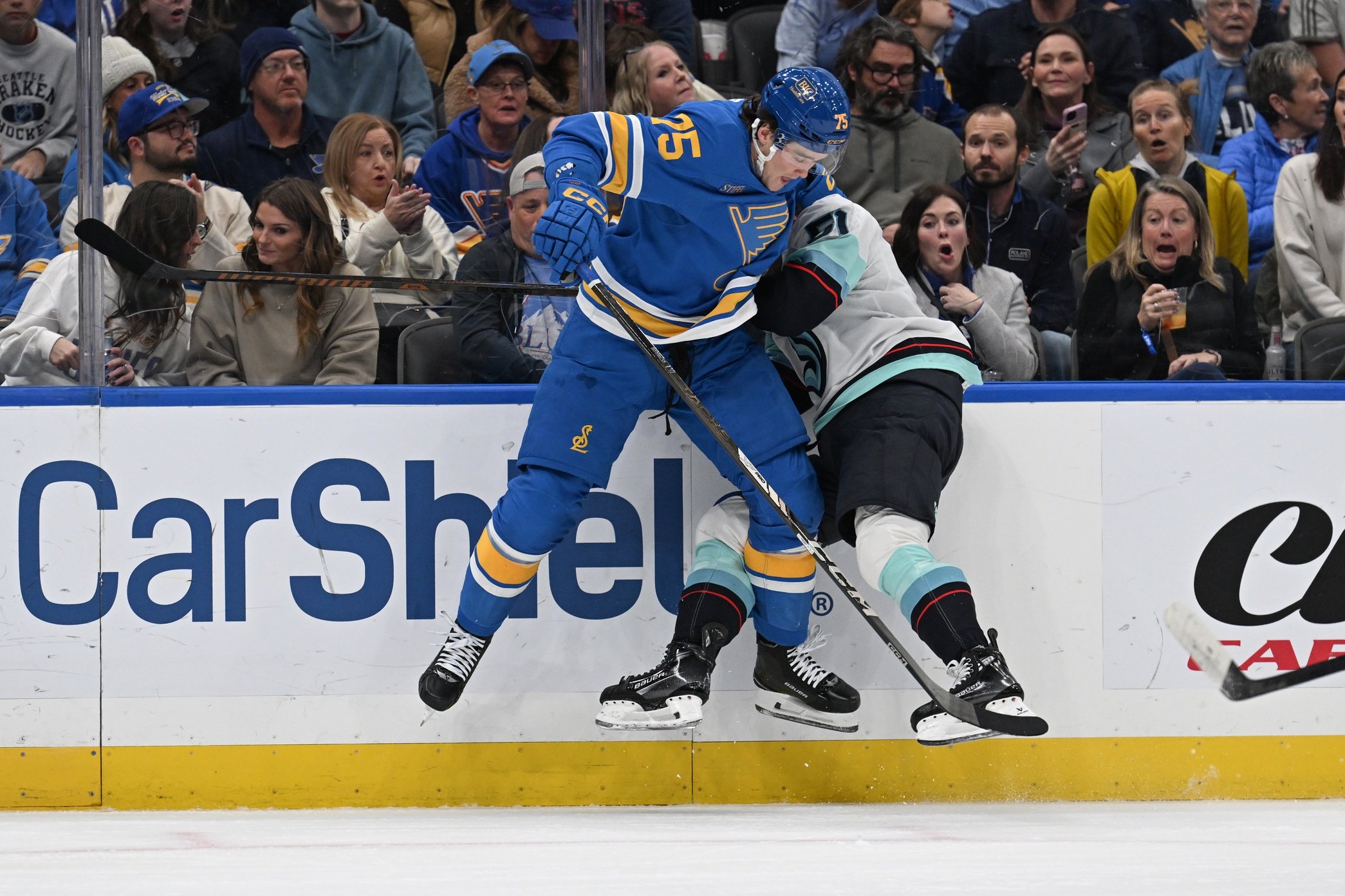 nhl picks Tyler Tucker St Louis Blues predictions best bet odds