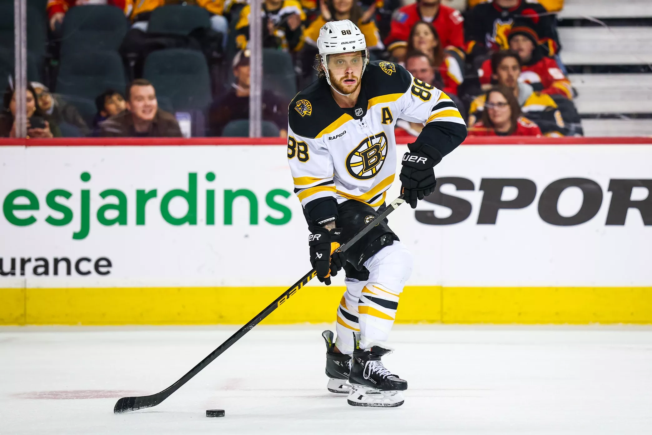 NHL totals betting analysis: hot and cold over/under teams - David Pastrnak, Boston Bruins
