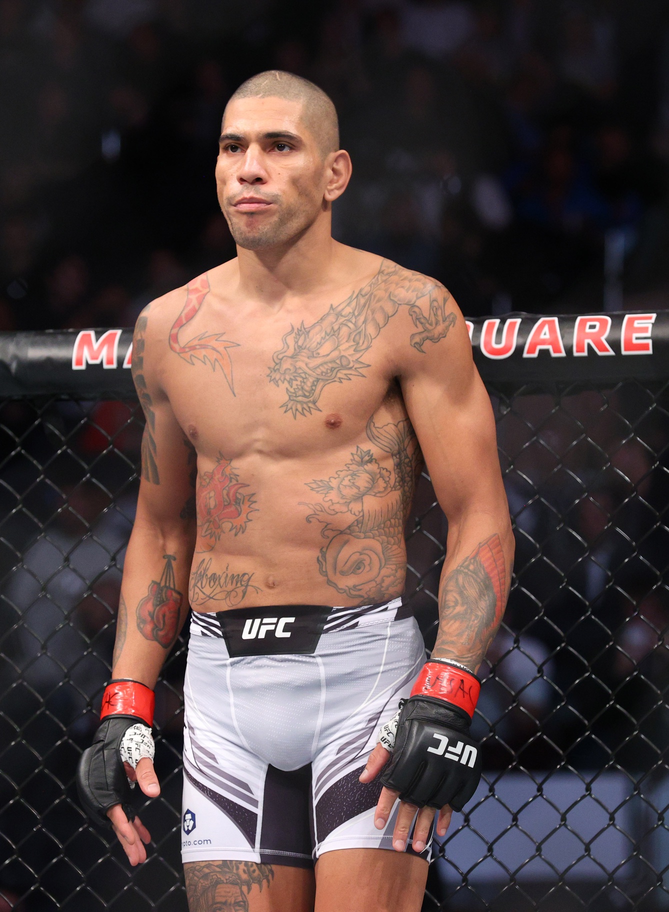 ufc picks Alex Pereira predictions best bet odds