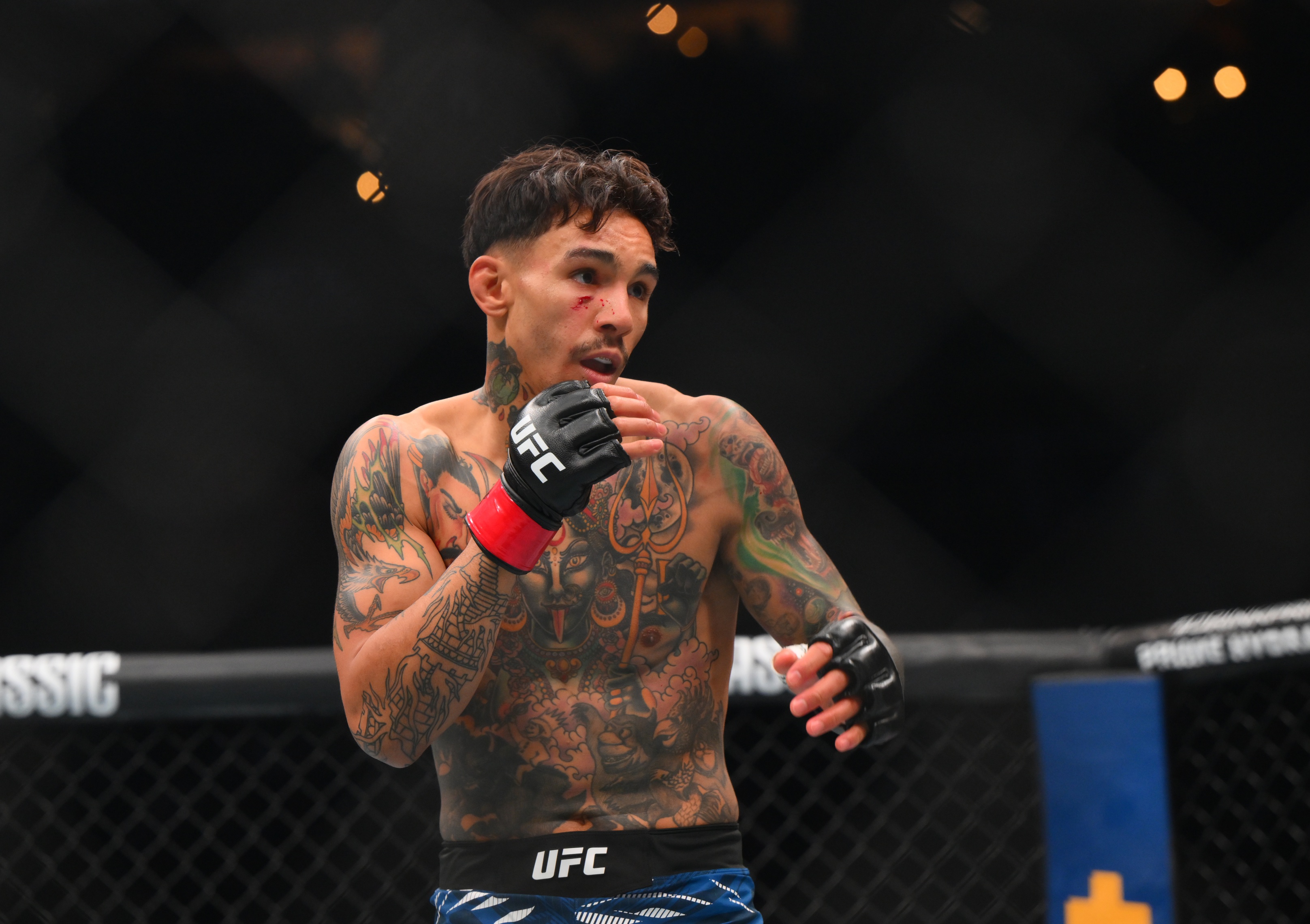 UFC predictions for Andre Fili and Christian Rodriguez