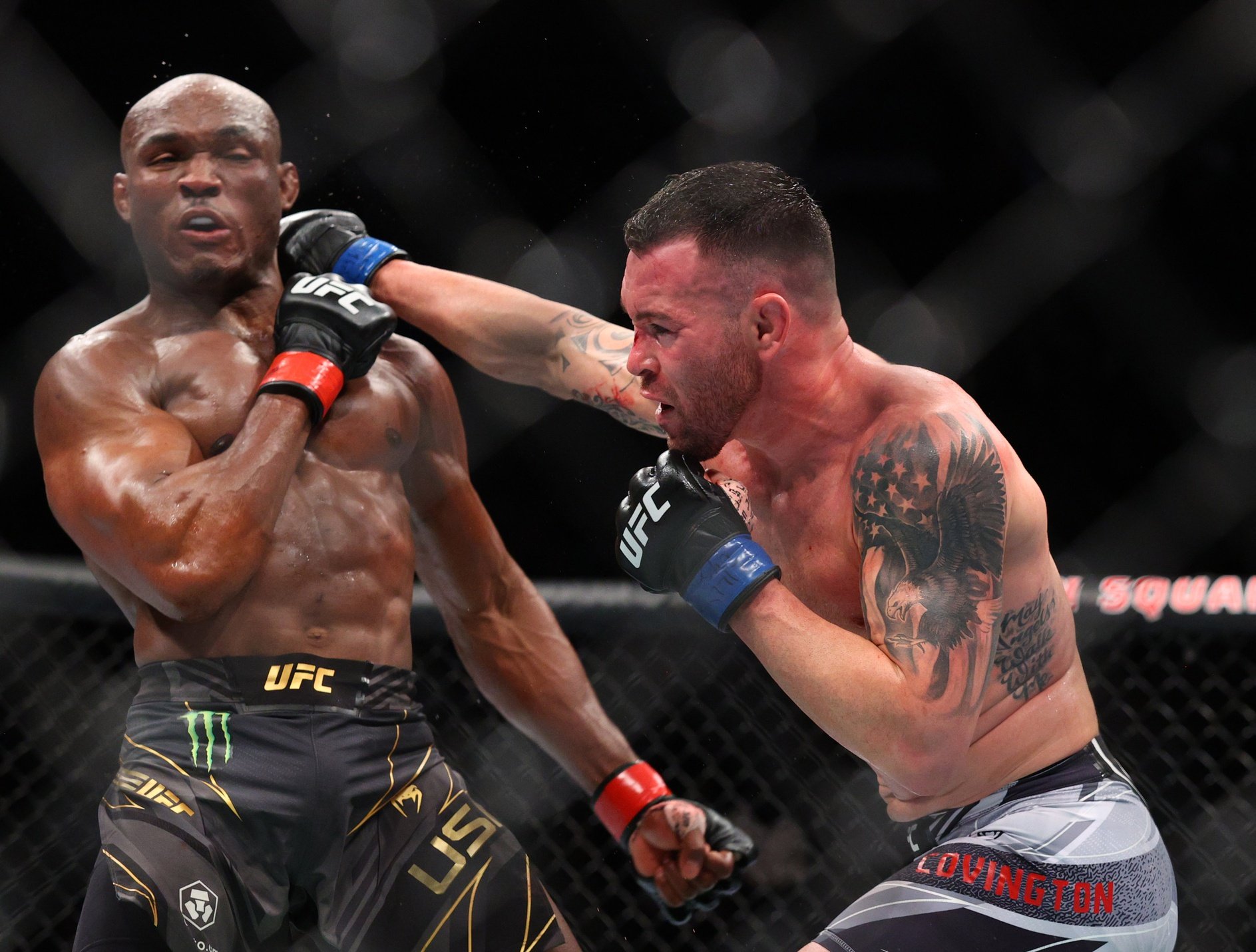 ufc picks Colby Covington predictions best bet odds
