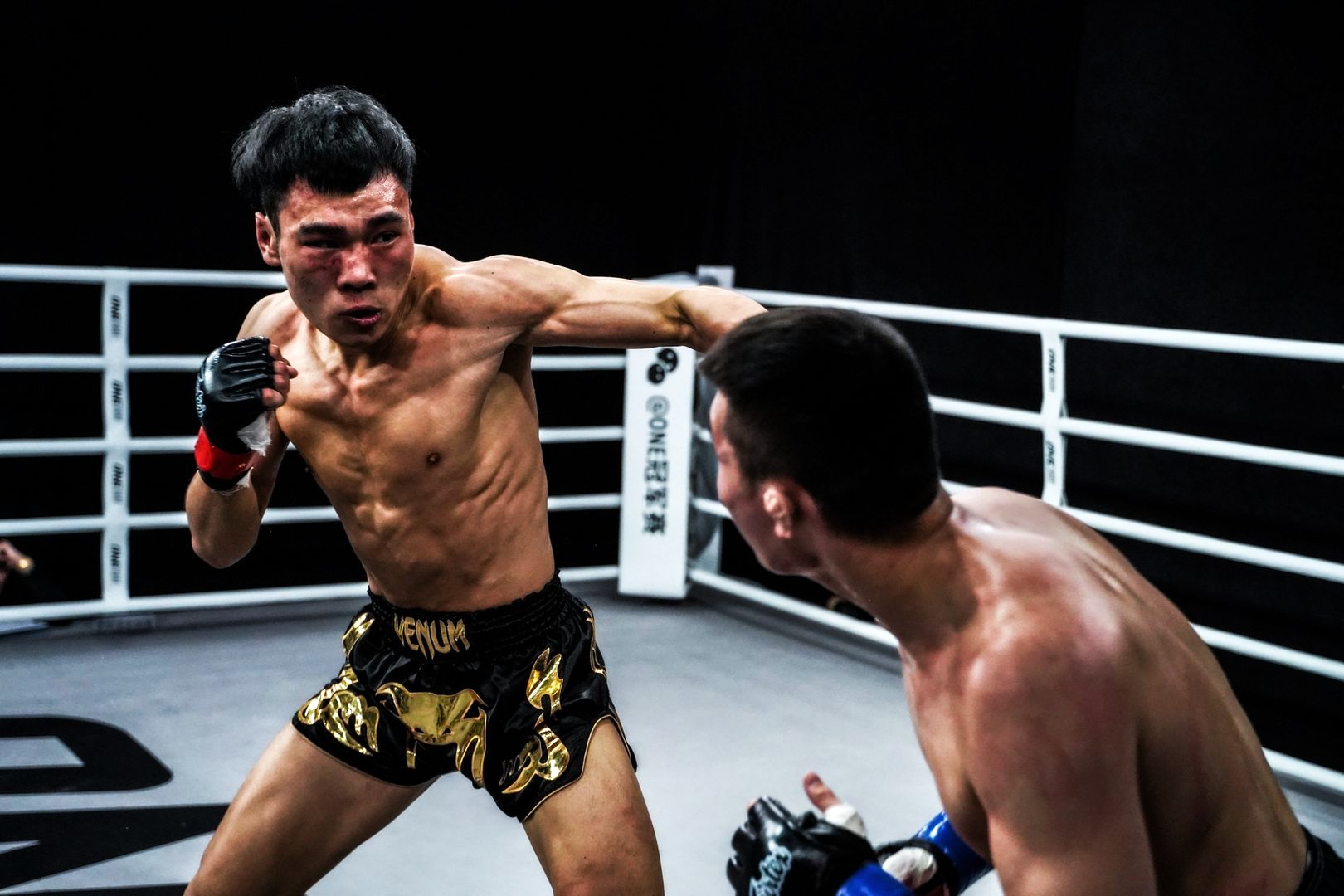 Ding Meng vs Jose Souza Pick, 05/30/2026 Predictions UFC Macau Odds