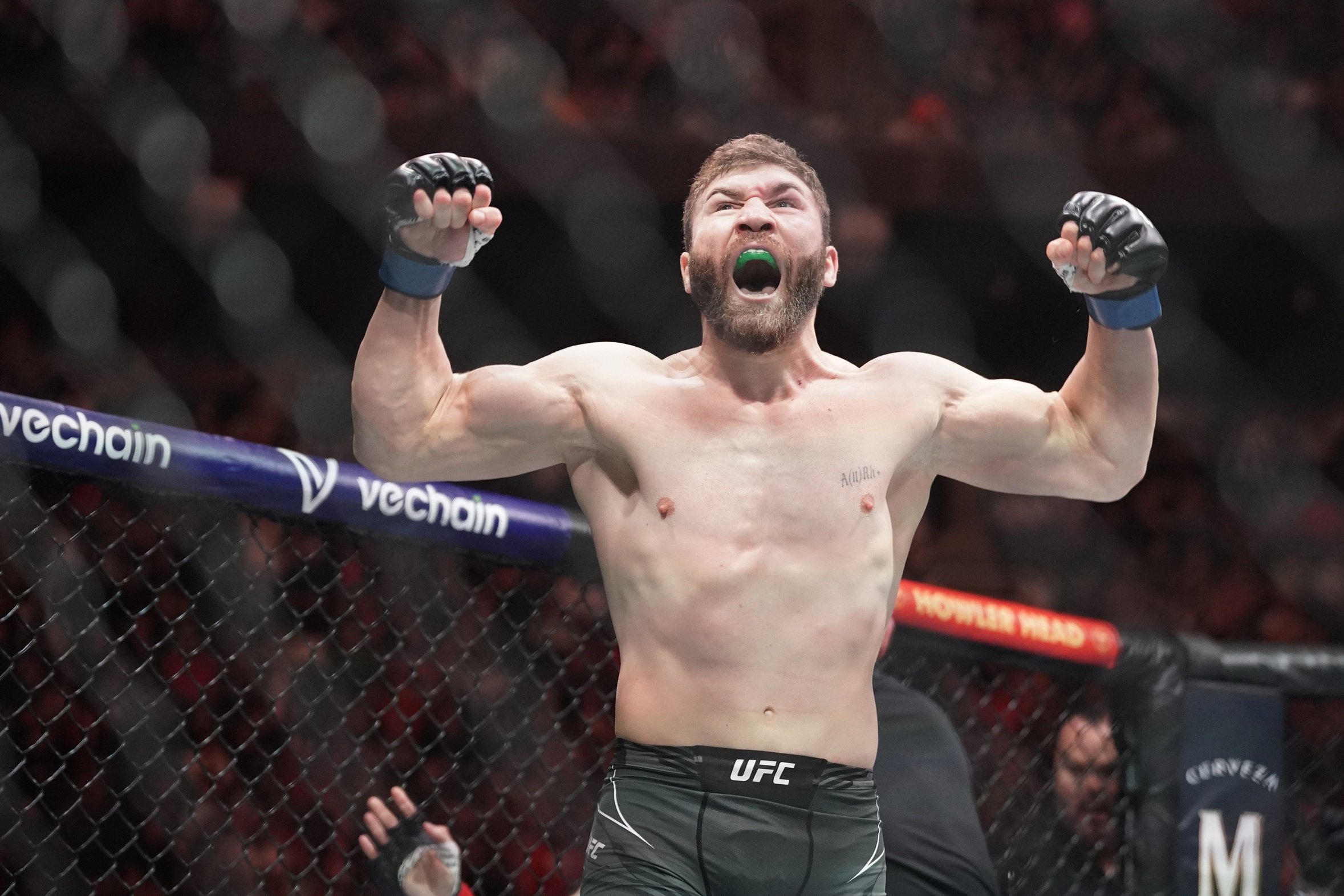 ufc picks Ion Cutelaba ufc predictions best bet odds