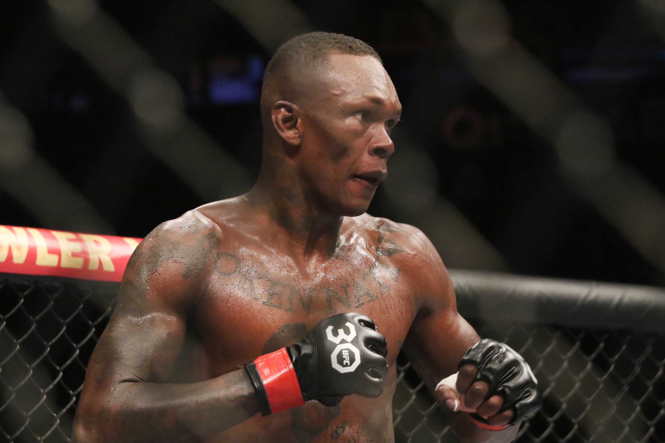 UFC Predictions: Adesanya vs Pyfer