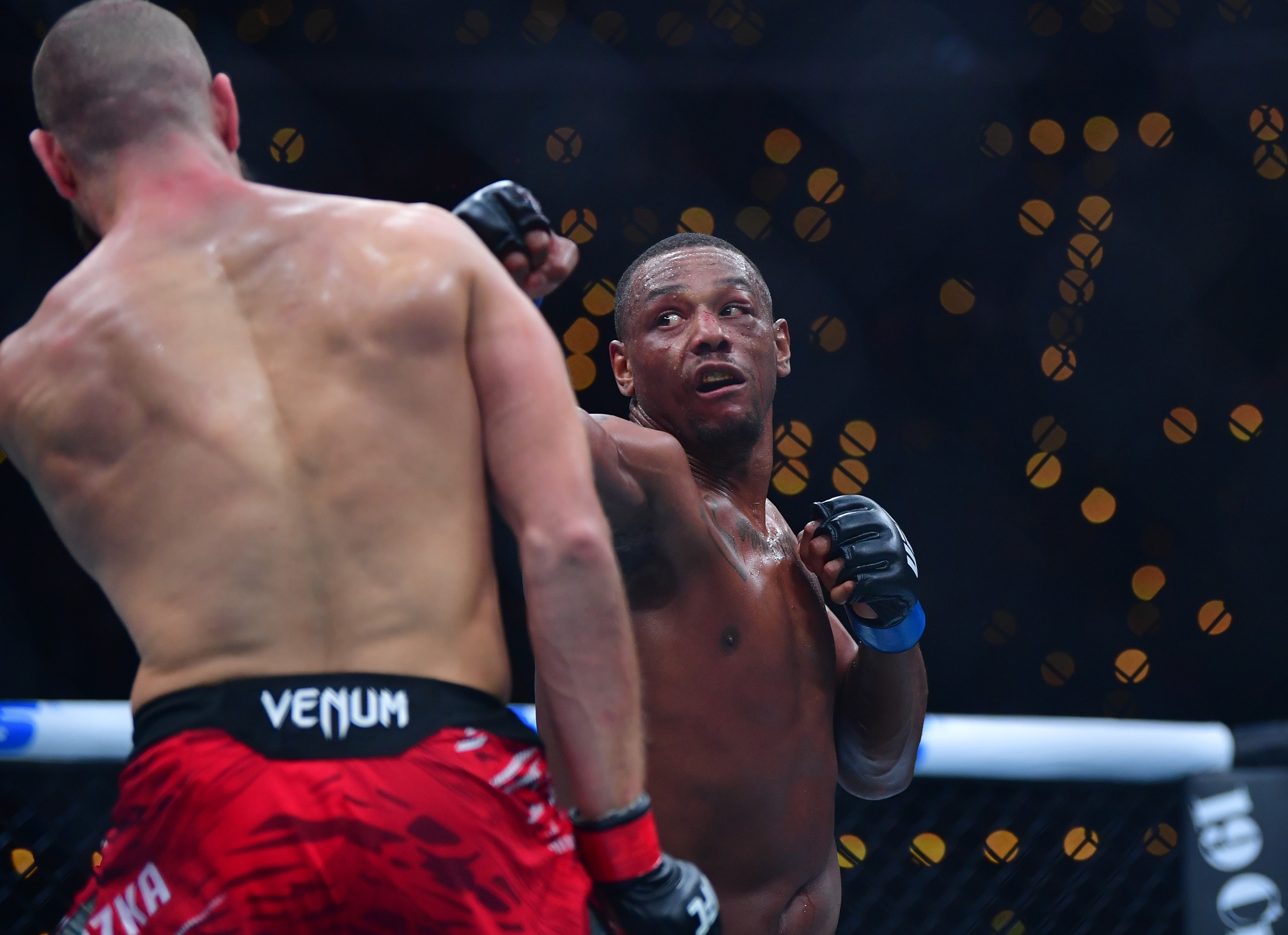 ufc picks Jamahal Hill ufc predictions best bet odds