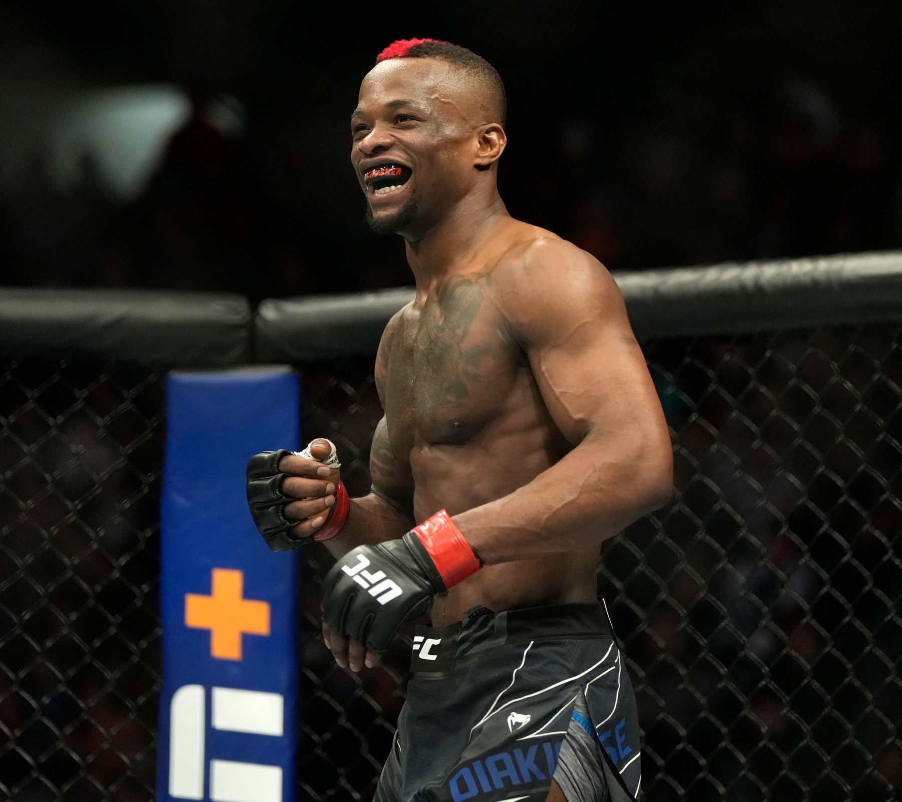 ufc picks Marc Diakiese predictions best bet odds