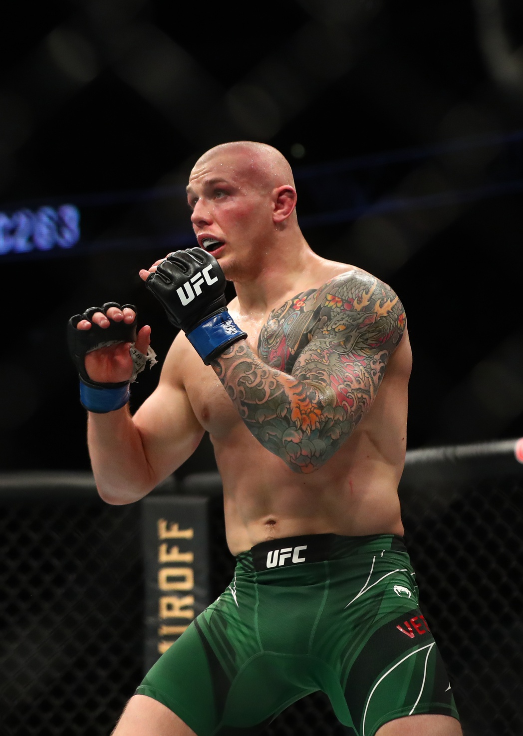 ufc picks Marvin Vettori predictions best bet odds