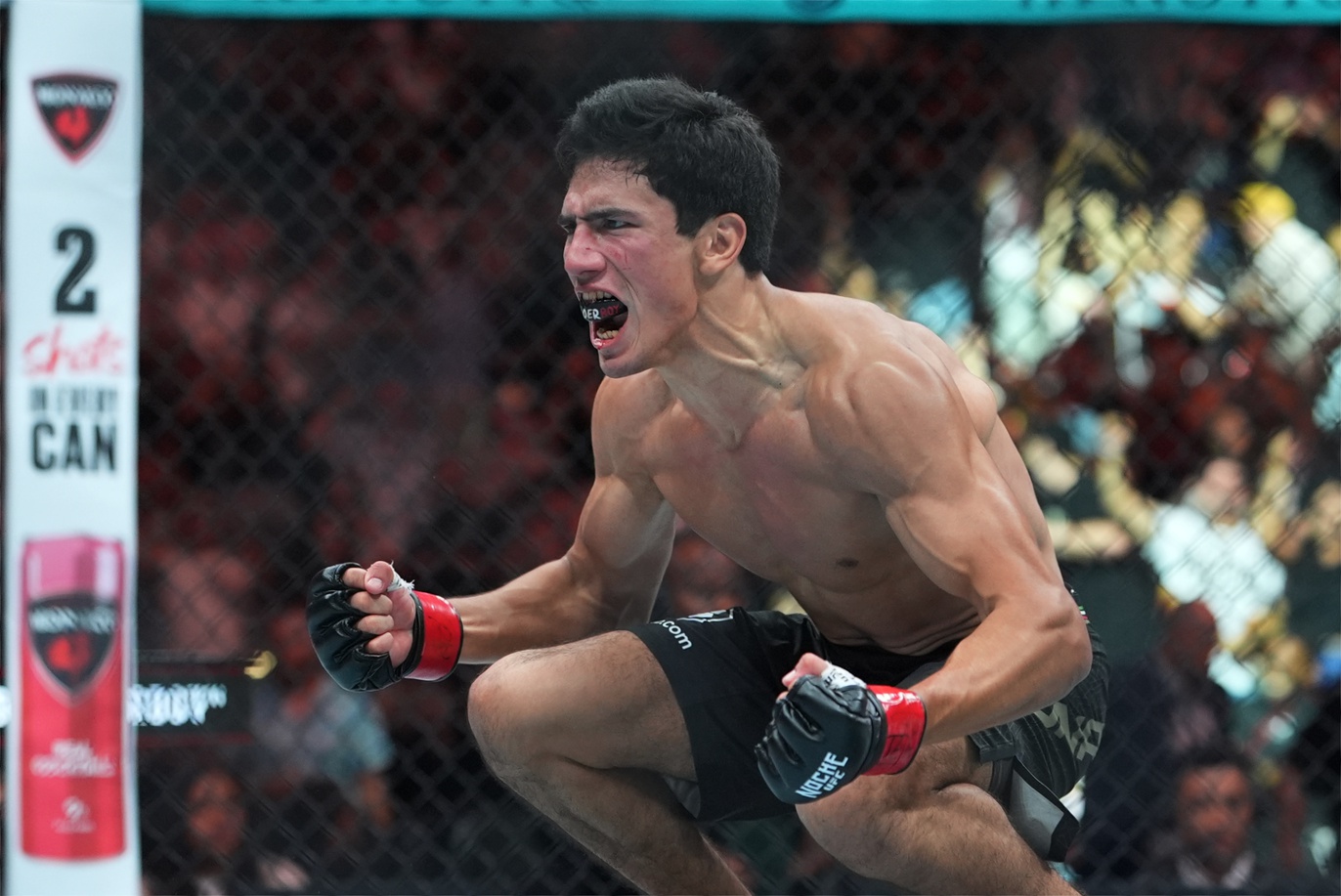 ufc picks Santiago Luna predictions best bet odds