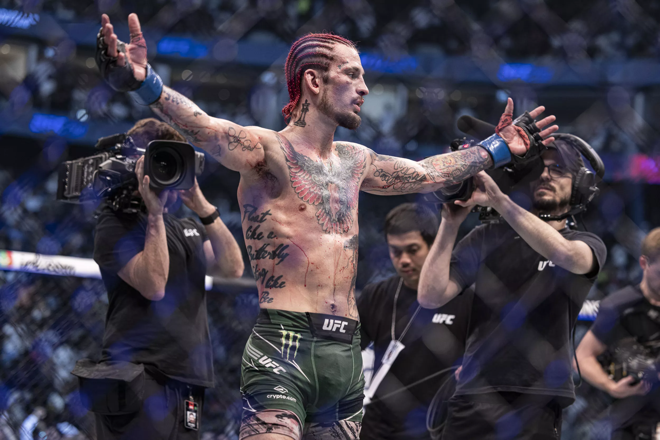 UFC Predictions for Sean O'Malley
