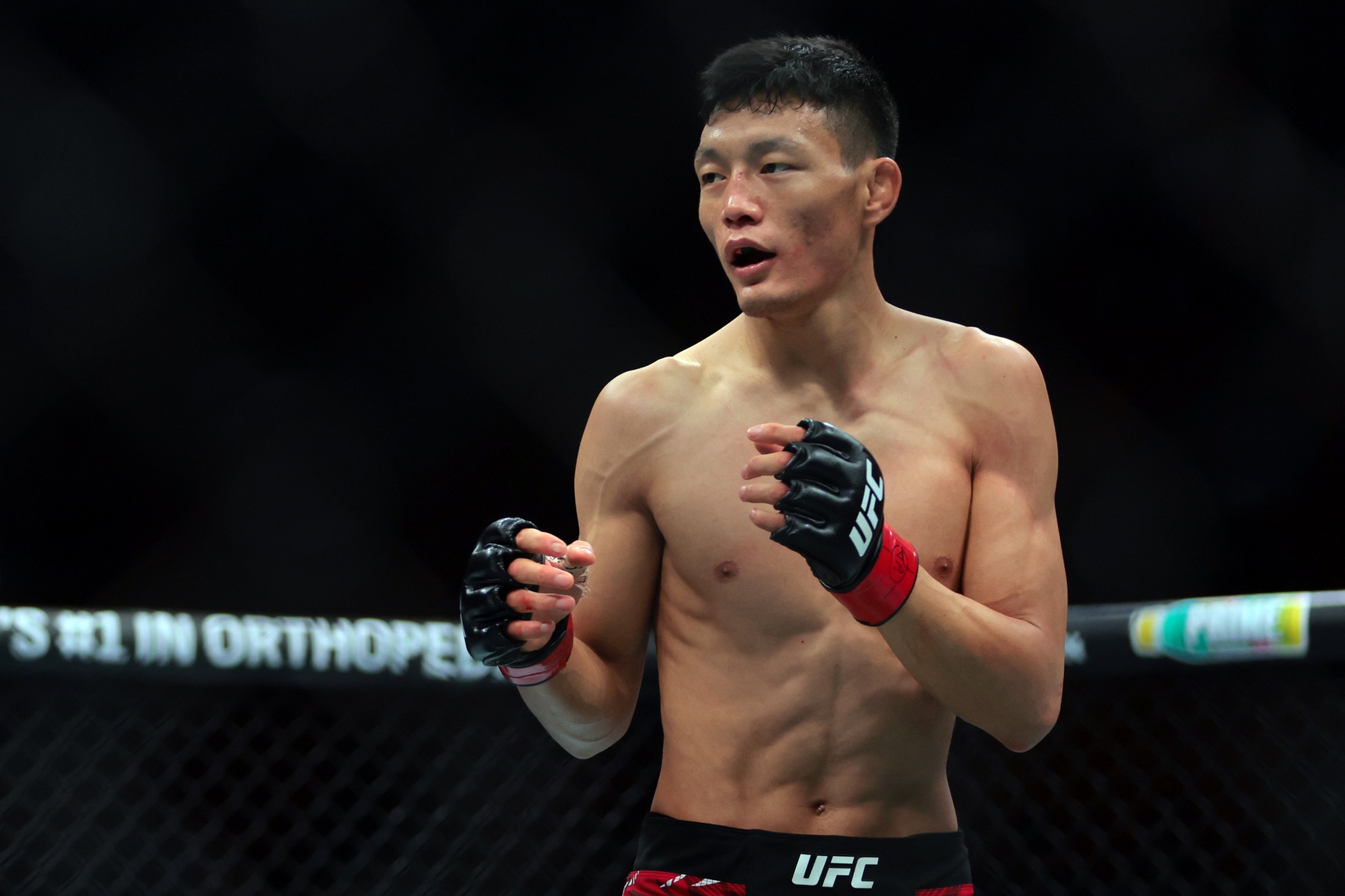 ufc picks Sumudaerji ufc predictions best bet odds
