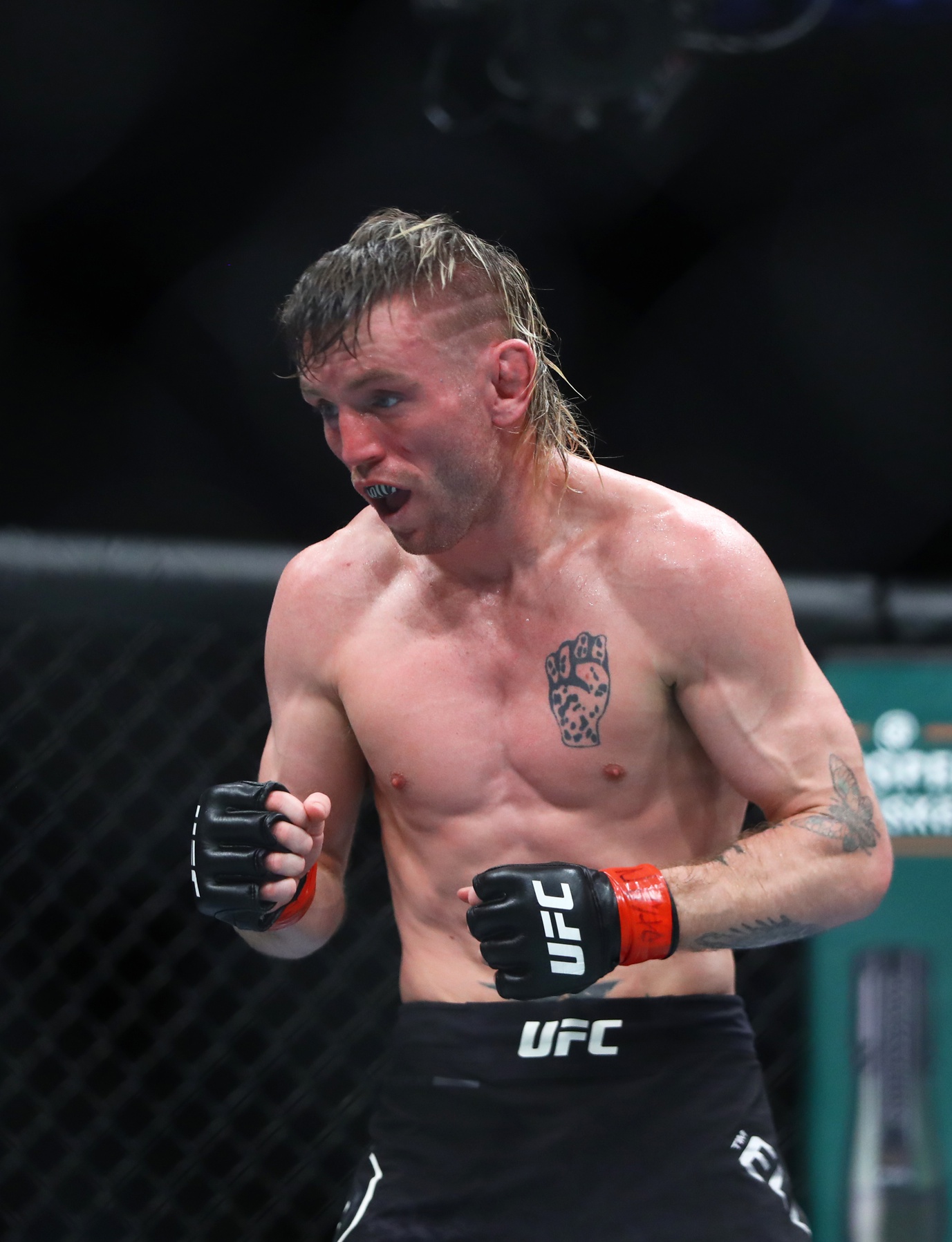 ufc picks Tim Elliott ufc predictions best bet odds
