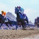 Belmont Stakes betting trends