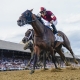 Belmont Stakes long shots