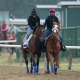 Belmont Stakes pace scenario and handicapping National Treasure