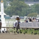 Belmont Stakes pace scenarios