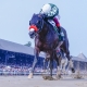 Belmont Stakes wagering strategies