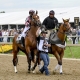 Belmont Stakes wagering strategies