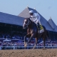 Best trifecta bets for the Belmont Stakes