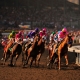 Breeders' Cup Blind Luck