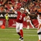 Carson Palmer Arizona Cardinals