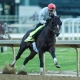 Chief Wallabee odds to win the Kentucky Derby