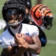 Cincinnati Bengals predictions Joe Mixon