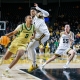 college basketball picks Ben Bradford Charlotte 49ers predictions best bet odds