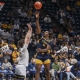 college basketball picks Demariontay Hall Coppin State Eagles predictions best bet odds