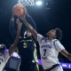 college basketball picks Ernest Shelton Merrimack Warriors predictions best bet odds