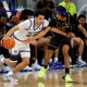 college basketball picks Jeffrey Mills Air Force Falcons predictions best bet odds