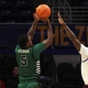 college basketball picks Wes Peterson Binghamton Bearcats predictions best bet odds