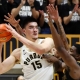 college basketball picks Zach Edey Purdue Boilermakers predictions best bet odds