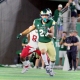 college football picks Avery Morrow Colorado State Rams predictions best bet odds