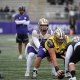 college football picks Patrick O'Brien Washington Huskies predictions best bet odds