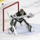 Minnesota Wild goaltender Devan Dubnyk