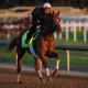 Emerging Market odds to win the Kentucky Derby