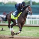 Grande odds to win the Kentucky Derby