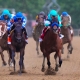Horses that can win the Belmont Stakes National Treasure