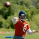 Bears quarterback Jay Cutler,