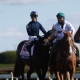 Jockey Tyler Gaffalione 