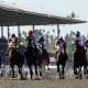 Juvenile Fillies at Santa Anita