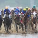Kentucky Derby betting trends