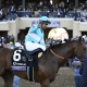 Kentucky Derby Citizen Bull